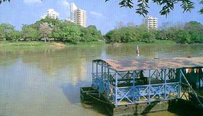 monteria